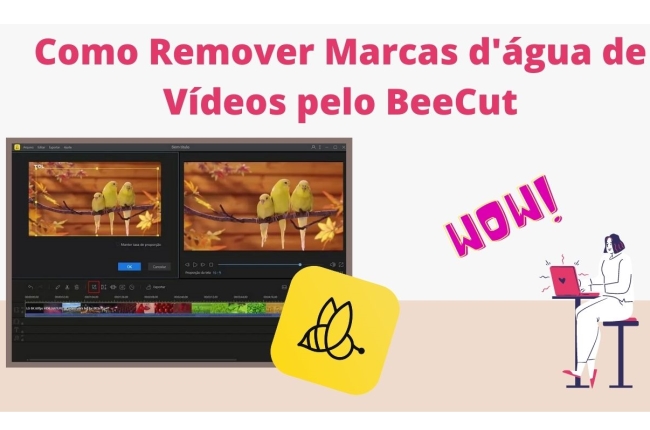 Editor de vídeo online grátis sem marca d'água 